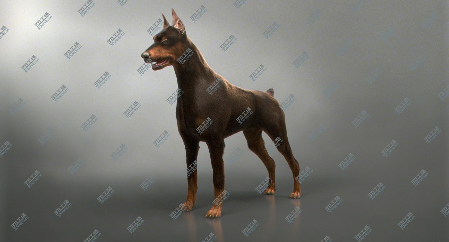 images/goods_img/202104092/3D Doberman (Fur)/2.jpg